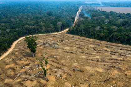 Hofreiter fordert Stopp des Mercosur-Abkommen: Vernichtungsspirale des Amazonas beenden
