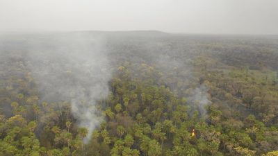 Brasilien lehnt Amazonas-Soforthilfe von G7 ab: Das Geld ist besser geeignet, Europas Wälder aufzuforsten
