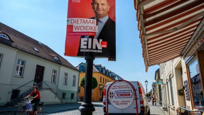 Wahl-Umfrage: Kopf-an-Kopf-Duell zwischen AfD und SPD in Brandenburg – CDU in Sachsen laut Umfrage weiter vorn