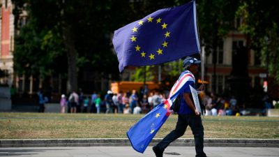 1,3 Millionen Unterschriften: Brexit-Gegner lehnen sich gegen Zwangspause des Londoner Parlaments auf