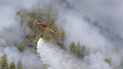 Weitgehend unter Kontrolle: Waldbrand wütet auf Gran Canaria