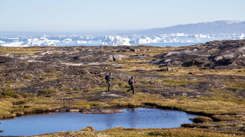 Grönland empört über Trumps Kaufabsicht: „Das muss ein Aprilscherz sein“