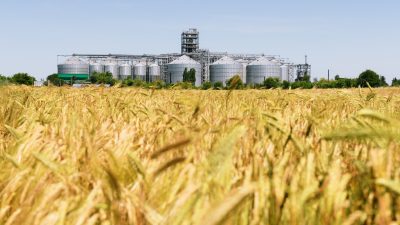 Subventionierung der Großbetriebe: Ein Prozent der Agrarbetriebe erhält 20 Prozent der EU-Gelder