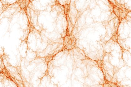 Neues Schmerzorgan entdeckt- Hilfe bei Polyneuropathie?