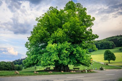 Kein schöner Land in dieser Zeit – Von Anton Wilhelm von Zuccalmaglio