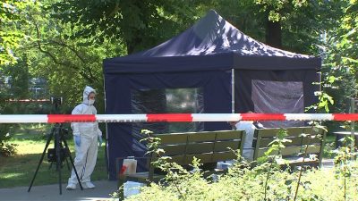 Profikiller in Berlin? Kopfschuss-Mord im Park – Tatwaffe gefunden – Radfahrer verhaftet