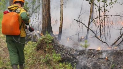 Erfolge im Kampf gegen Waldbrände in Sibirien
