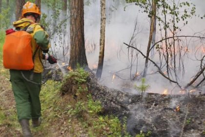 Erfolge im Kampf gegen Waldbrände in Sibirien