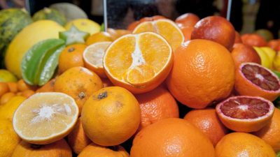 Bio-Orangen und Bio-Zitronen: „Wir können die Nachfrage kaum befriedigen“