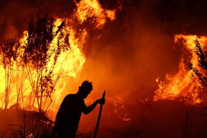 Landesfeuerwehrverband Sachsen-Anhalt befürchtet verheerende Waldbrände im Harz