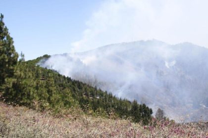 Wieder Waldbrand auf Gran Canaria ausgebrochen