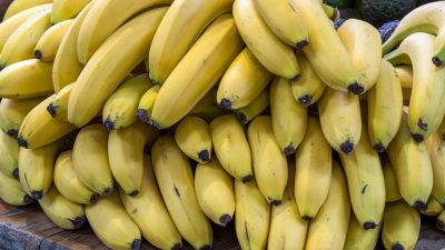 Erste gentechnisch veränderte Banane der Welt