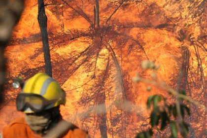 Verheerende Brände toben im brasilianischen Amazonasgebiet – Einwohner sprechen von “schwarzem Regen”