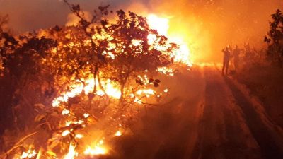 Bolsonaro vermutet Umweltschützer hinter Amazonas-Bränden