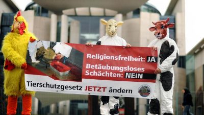 Zentralrat der Juden sieht Religionsfreiheit unter Beschuss