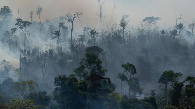 Merkel bietet Brasilien Zusammenarbeit zum Schutz des Amazonasgebiets an
