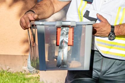 Polizei entlarvt dank Biss von “Brasiliens berühmtester Kobra” einen Tierhändlerring