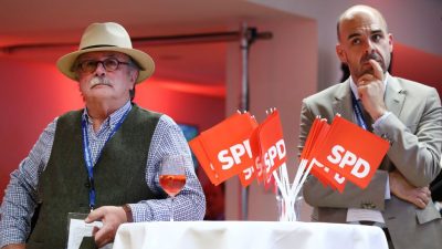 Emnid: SPD stagniert in der Wählergunst – AfD gewinnt