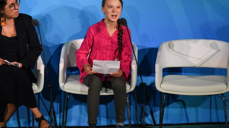 Psychologe: Die „extrem gereizte Gesellschaft“ und Sündenbock Greta Thunberg