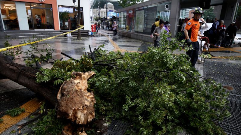 Asien: Mehrere Tote durch Taifun „Lingling“ in Süd- und Nordkorea