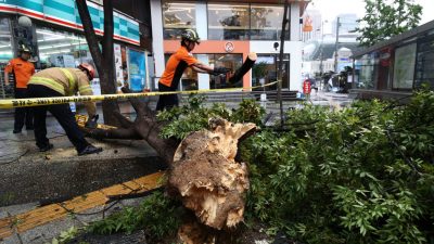 Koreanische Halbinsel: Acht Tote durch Taifun „Lingling“