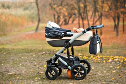 Razzia gegen Kinderwagendiebe in Norddeutschland