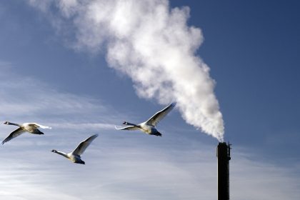 Grüne fordern „hartes, bindendes Klimaschutzgesetz“, das alles umfasst