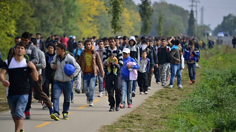 UNO: Zahl der Migranten weltweit auf 272 Millionen gestiegen
