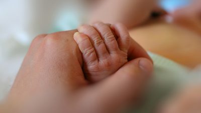 Fehlbildungen bei Neugeborenen: Politik schließt teratogene Einwirkungen von Glyphosat nicht aus