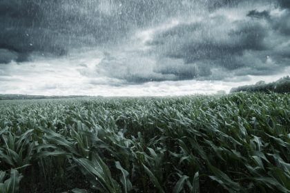 Kräftiger Herbststurm: Deutschland steht stürmische Nacht bevor
