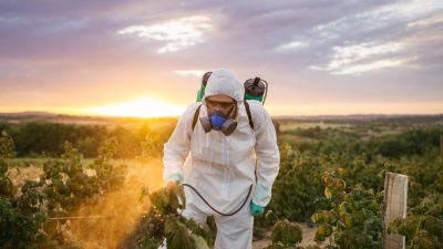 Im Glyphosat-Streit: Französische Städte verbieten Pestizid-Einsatz
