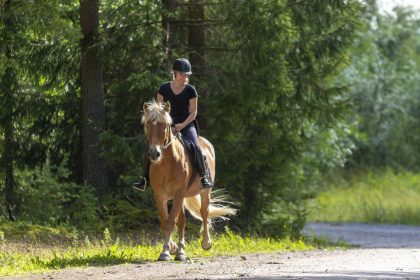 NRW: Reiterin nach tragischem Unfall verstorben