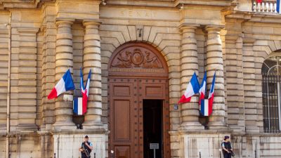 Hitler-Büste und Hakenkreuz-Flagge bereiten Pariser Senat Kopfzerbrechen