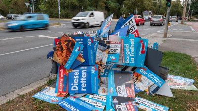 Wahlen in Sachsen und Brandenburg: Grüner Vormarsch gestoppt – Absage an Erziehungsdiktatur