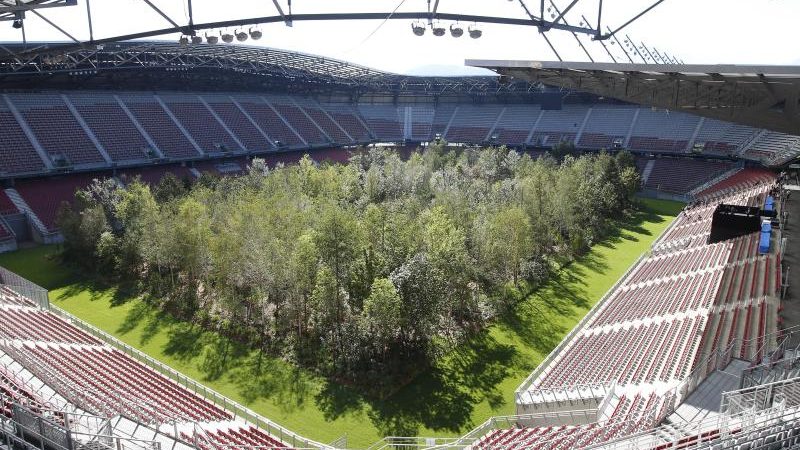 Umwelt-Mahnmal: Klagenfurt setzt Wald ins Fußballstadion