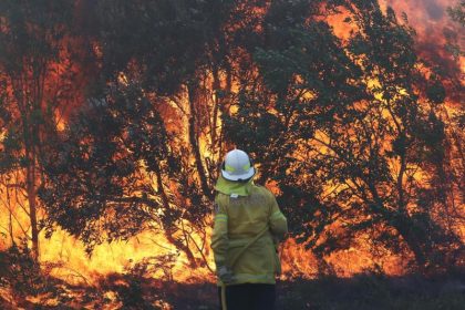 Australien: Senatorin fordert Untersuchung über Buschfeuer und wittert möglichen Ökoterrorismus