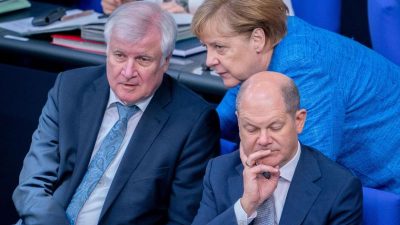 Union und SPD starten Endspurt für Milliarden-Klimapaket – Merkel: Eins ist sicher, Klimaschutz kostet Geld