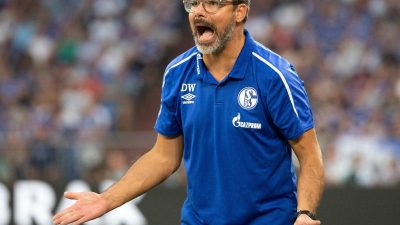 Schalke will Lauf fortsetzen – Wagner: «Wahnsinnig Lust»