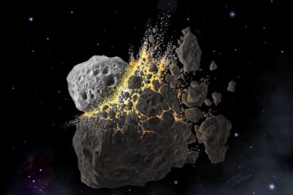 Asteroiden-Crash steigerte Artenvielfalt auf der Erde