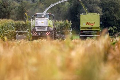 Deutsche Politik bremst Klimaschutz: „Agroforste“ trotz EU-Unterstützung nicht gefördert