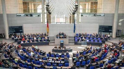 Hitzige Debatte im Bundestag: Fraktionen lehnen AfD-Antrag zum erneuten Vizepräsidenten-Wahlgang ab