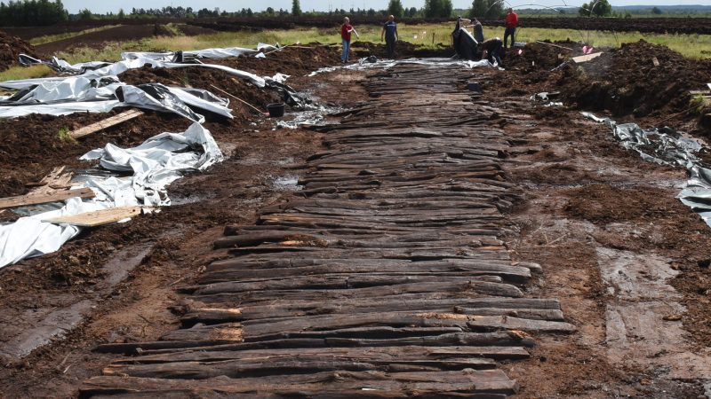 „Auf dem Holzweg“: Archäologen graben im Moor südlich von Bremen nach 520 Meter Bohlenweg