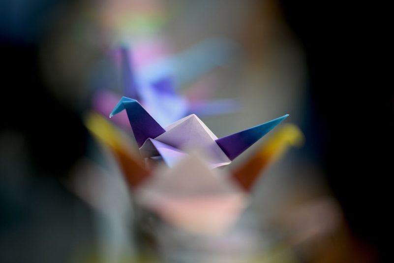 Hongkonger basteln Zehntausende Origami-Kraniche – aus Protest gegen die Polizeigewalt