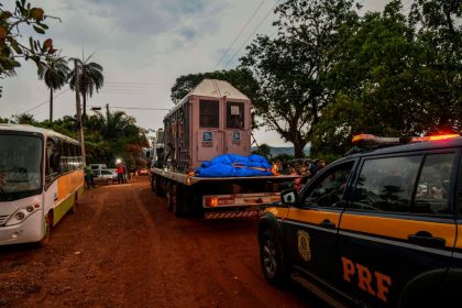 Kein Zirkus mehr: Elefantendame soll neues Leben in brasilianischem Reservat beginnen