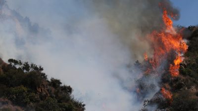 Los Angeles: 50.000 Menschen müssen wegen Waldbrandes Häuser verlassen
