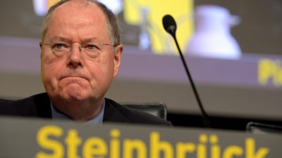 Steinbrück zur EZB-Politik: „Die Geldpolitik hat Handlungsfähigkeit verloren“