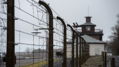 Ex-Konzentrationslager Buchenwald: Unterirdische Stollen in Steinbruch entdeckt