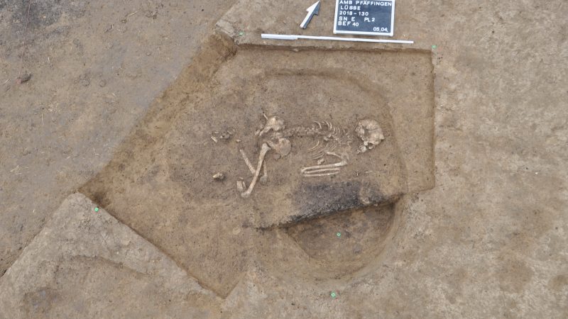 Leben und Tod vor 7.000 Jahren: Archäologen entdecken Siedlungs- und Grabanlage bei Tübingen