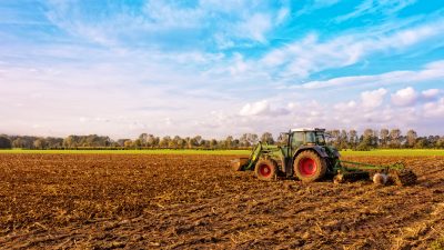 Ex-Agrarministerin Künast: Staat soll Landwirten Flächen abkaufen