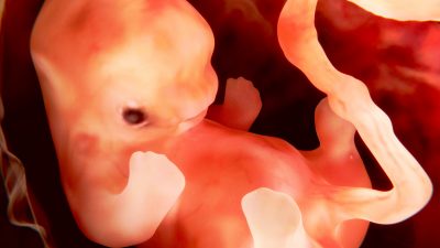 Bundesausschuss-Vorsitzender kritisiert neuen Bluttest für Schwangere: „Hier sind fundamentale ethische Grundfragen berührt“